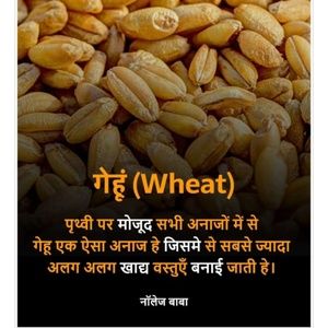 Meet your Posher, Indra